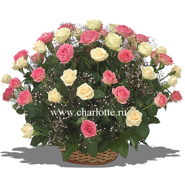 http://www.charlotte.ru/images/flowers/121.jpg