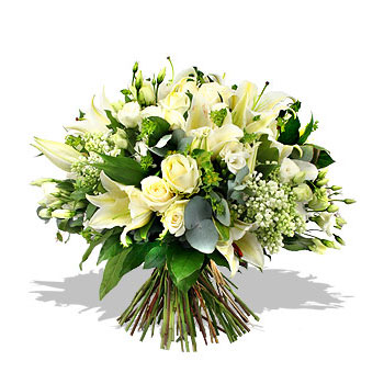 http://www.charlotte.ru/images/flowers/406.jpg