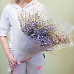 Букет цветов "Медовая гениста"