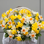 Цветочная композиция "Корзинка с нарциссами"