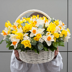 Цветочная композиция "Корзинка с нарциссами"