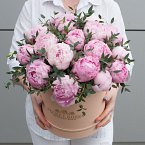 Коробка с пионами "Милое создание"