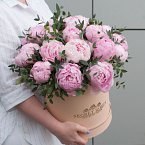 Коробка с пионами "Милое создание"