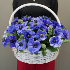 Корзина с анемонами "Небо весной"