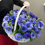 Корзина с анемонами "Небо весной"