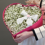 Коробка с гипсофилой "Облачко любви"