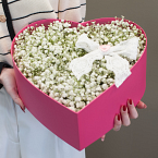 Коробка с гипсофилой "Облачко любви"