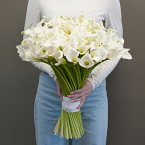 Букет из калл "Лиз Шармель"