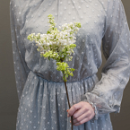 Ветка белой сирени