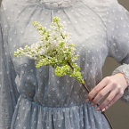 Ветка белой сирени