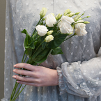 Белый лизиантус