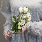 Белый лизиантус