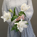 Белая многолепестковая лилия