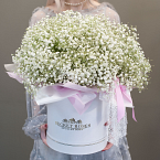 Коробка с гипсофилой "Воздушная"