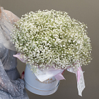 Коробка с гипсофилой "Воздушная"