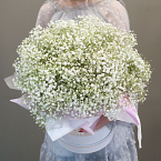 Коробка с гипсофилой "Воздушная"