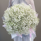 Коробка с гипсофилой "Воздушная"