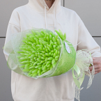 Букет сухоцветов "Зеленые лагурусы"