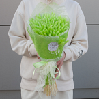 Букет сухоцветов "Зеленые лагурусы"