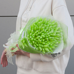 Букет сухоцветов "Зеленые лагурусы"