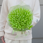 Букет сухоцветов "Зеленые лагурусы"