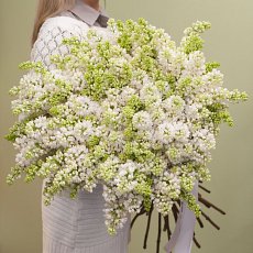 Букет "Белая сирень"