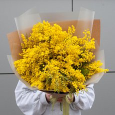 Букет из мимозы "Свежесть"