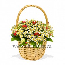 Корзинка ромашек "Садовая ромашка"