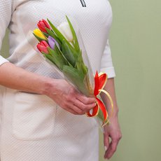 Корпоративный букет (5 тюльпанов)