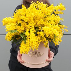 Шляпная коробка с мимозой
