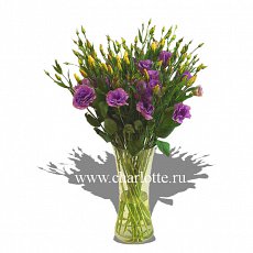 Букет из сиреневых лизиантусов (Эустомы)