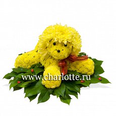 Фигура из цветов "Львенок"