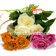 Розы