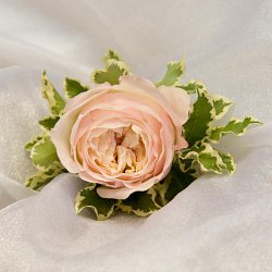 1725