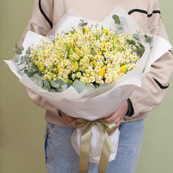 559