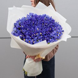 955
