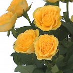 Букет из роз "Желтые розы"