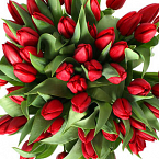 Букет из тюльпанов "Красные тюльпаны"