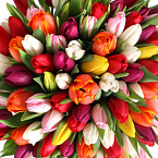 Букет из тюльпанов "Разноцветные тюльпаны" в вазе.