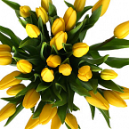 Букет из тюльпанов "Желтые тюльпаны"