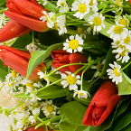 Букет цветов "Весенняя ромашка"