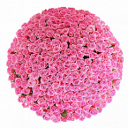 Корзина из 501 розовой розы "Очарование"
