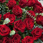 Корзина из красных роз "Розаприма" (51, 101, 151)