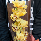 Букет из орхидеи "Аврора"