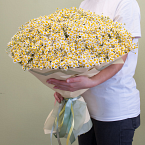 Букет цветов "101 ромашка"