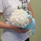 Коробка с цветами "Белая гортензия"