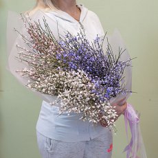 Букет цветов "Медовая гениста"