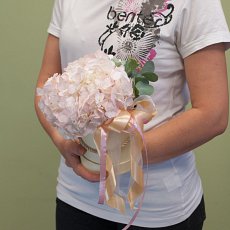 Коробка с цветами "Нежно-розовая гортензия"