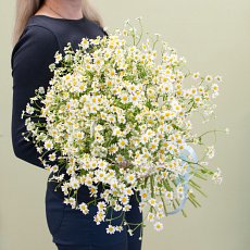 Букет цветов "Ромашкино"