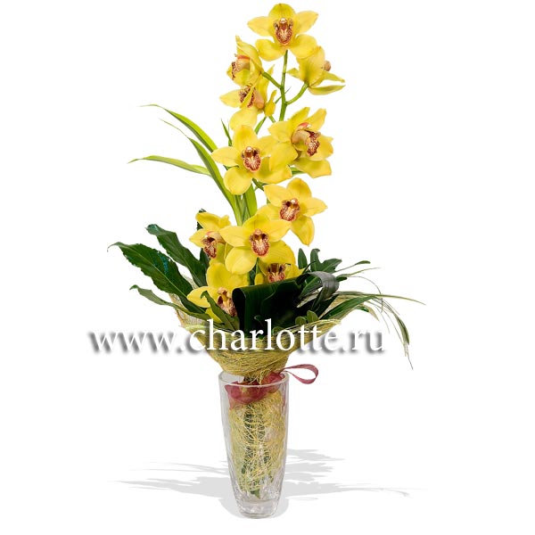 Букет из орхидеи "Желтая орхидея"
